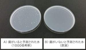 生菌数 測定 切削液