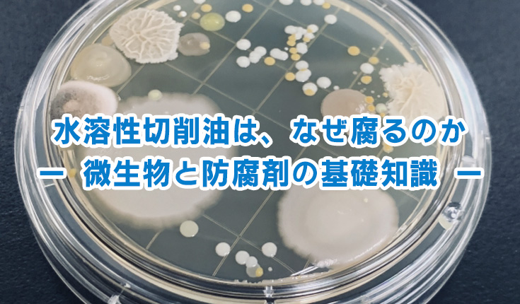 水溶性切削液はなぜ腐る？